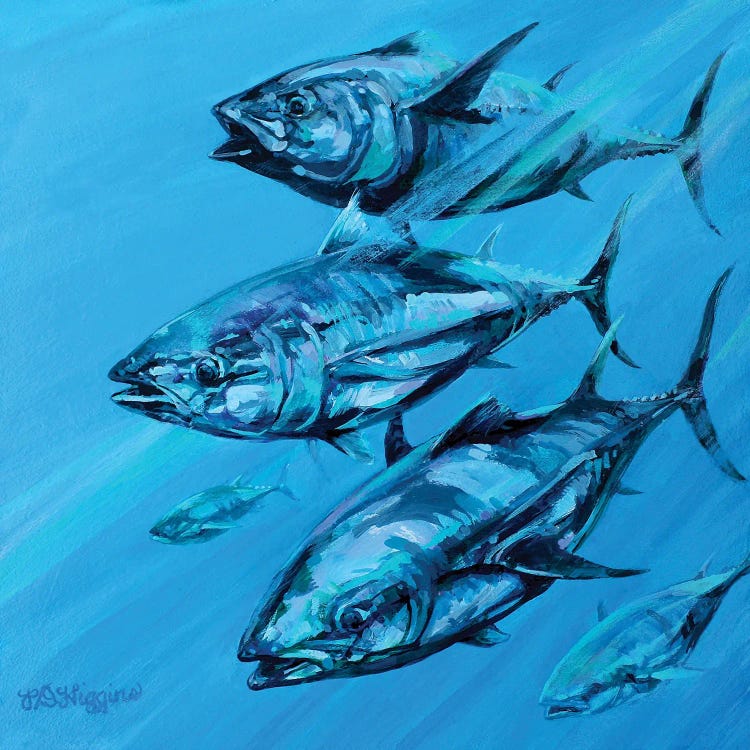 Bluefin Tuna School