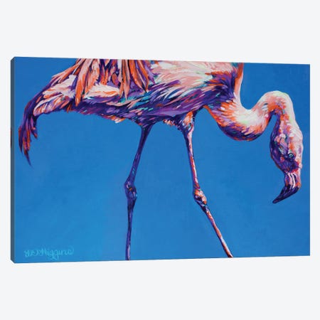 Flamingo Canvas Print #DHG130} by Derrick Higgins Canvas Print