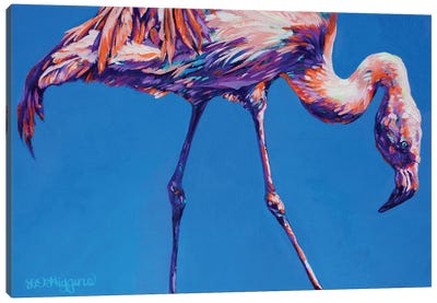 Flamingo Canvas Art Print - Derrick Higgins 