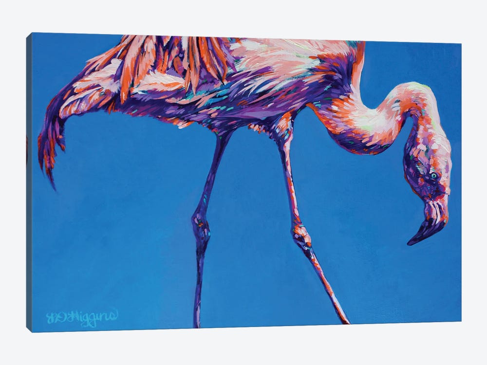 Flamingo by Derrick Higgins 1-piece Canvas Print