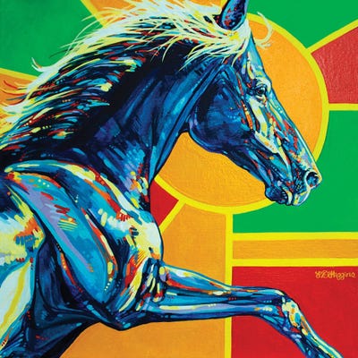 Sun Dog by Derrick Higgins canvas print