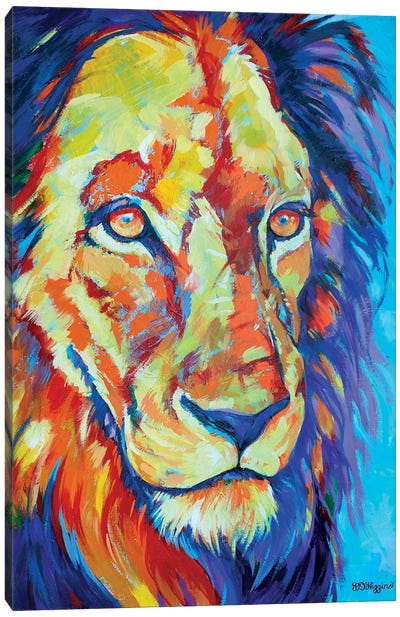Lion In Winter Canvas Art Print - Derrick Higgins 