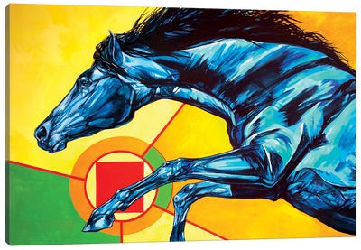 Leaping Horse Canvas Art Print - Derrick Higgins 
