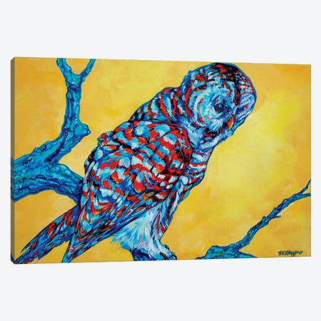 Barred Owl Canvas Print #DHG13} by Derrick Higgins Canvas Wall Art