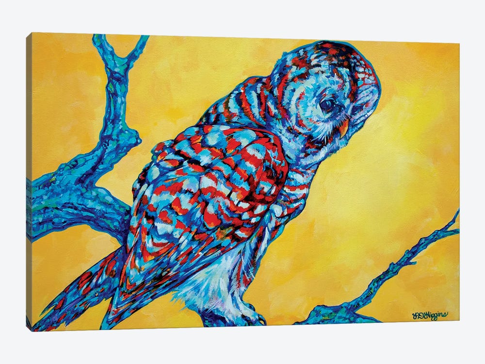 Barred Owl by Derrick Higgins 1-piece Canvas Print
