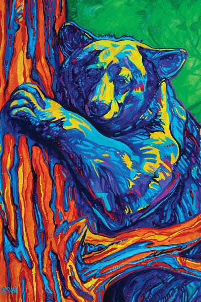 Bear Hug by Derrick Higgins canvas print