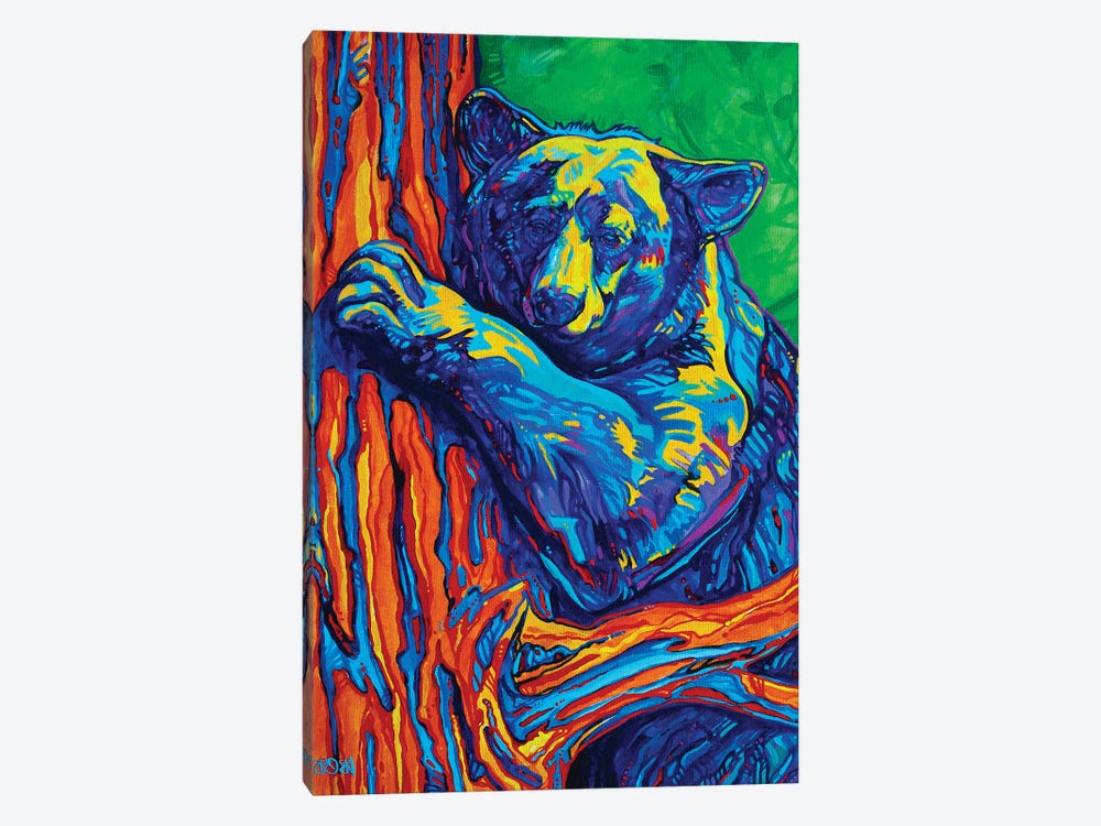 Bear Hug by Derrick Higgins 1-piece Canvas Art