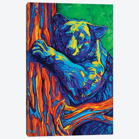 Bear Hug Canvas Print #DHG16} by Derrick Higgins Canvas Print