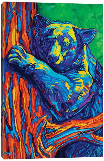 Bear Hug Canvas Art Print - Black Bear Art
