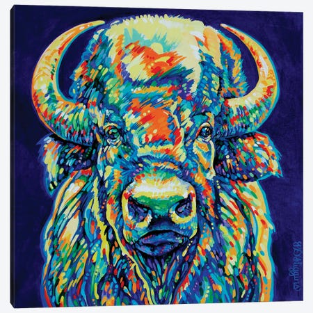 Bighorn Bison Canvas Print #DHG18} by Derrick Higgins Canvas Art