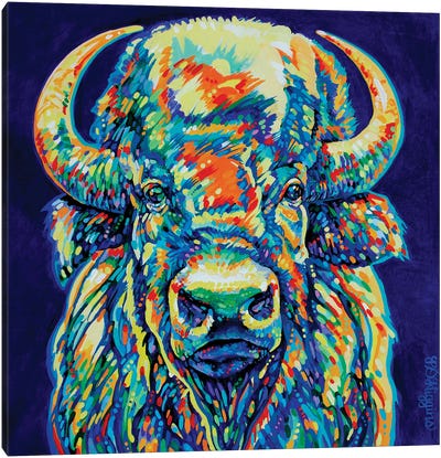 Bighorn Bison Canvas Art Print - Derrick Higgins 