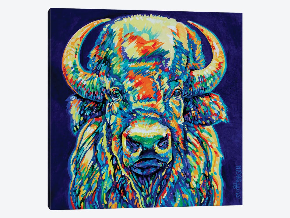 Bighorn Bison by Derrick Higgins 1-piece Canvas Art