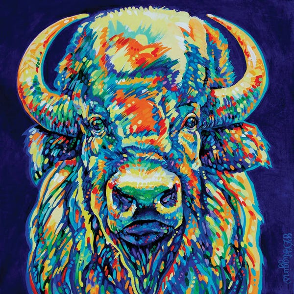 Bison & Buffaloes: Bighorn Bison by Derrick Higgins