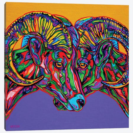 Bighorn Sheep Canvas Print #DHG19} by Derrick Higgins Canvas Art
