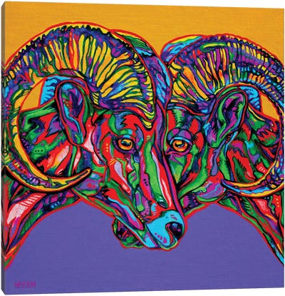 Bighorn Sheep Canvas Art Print - Derrick Higgins 