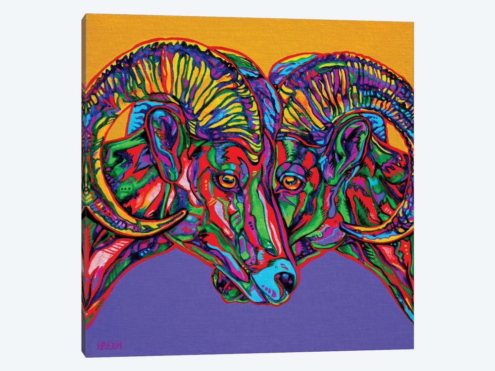 Bighorn Sheep by Derrick Higgins 1-piece Canvas Print