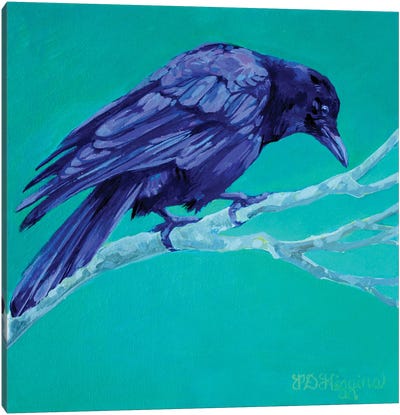 Birch Crow Canvas Art Print - Crow Art