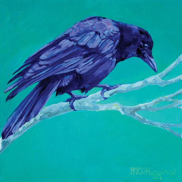 Crows: Birch Crow by Derrick Higgins