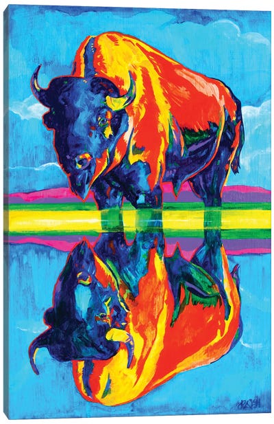 Bison Reflections Canvas Art Print - Bison & Buffalo Art