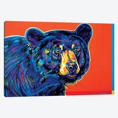 Blackcomb Bear Canvas Print #DHG22} by Derrick Higgins Canvas Print