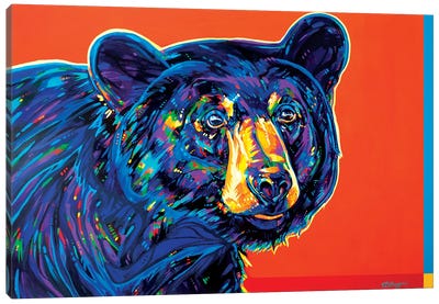 Blackcomb Bear Canvas Art Print - Derrick Higgins 