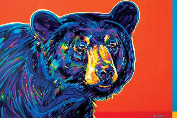 Black Bears: Blackcomb Bear by Derrick Higgins