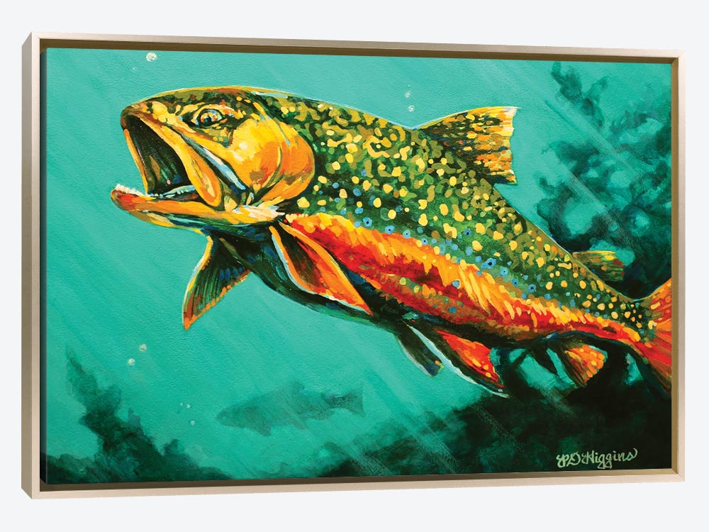 Framed Canvas Art (Gold Floating Frame) - Brook Trout by Derrick Higgins ( Animals > Sea Life > Fish > Trout art) - 18x26 in