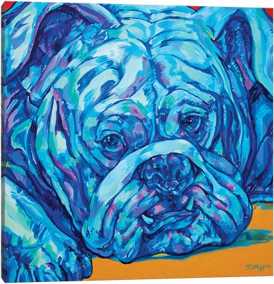 Bulldog Blues Canvas Art Print - Bulldog Art