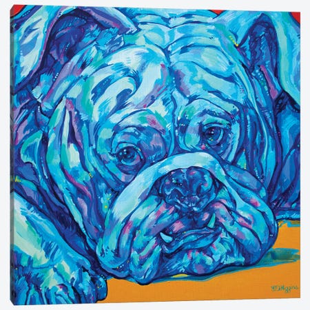 Bulldog Blues Canvas Print #DHG30} by Derrick Higgins Canvas Art