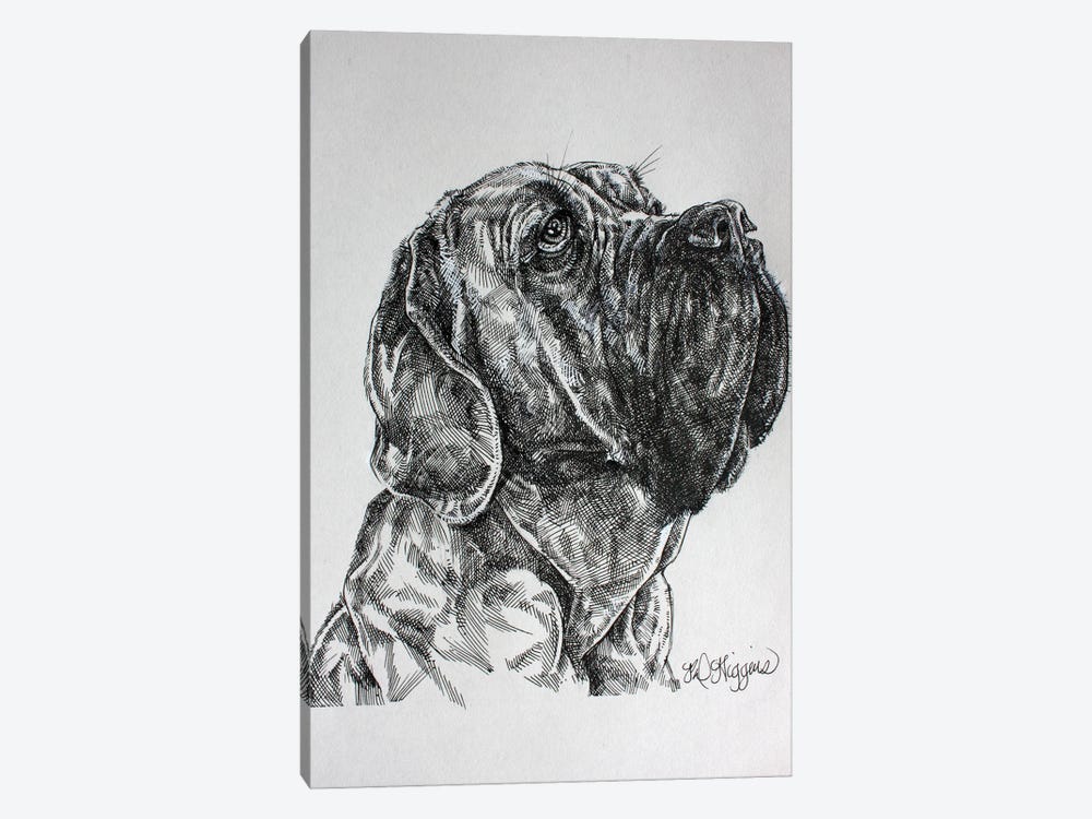 Bull Mastiff by Derrick Higgins 1-piece Canvas Print