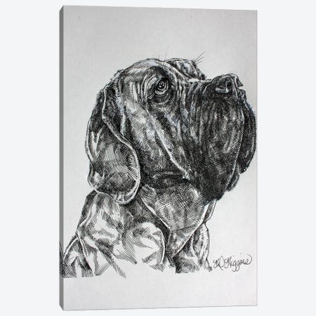 Bull Mastiff Canvas Print #DHG31} by Derrick Higgins Canvas Art