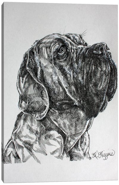 Bull Mastiff Canvas Art Print - Derrick Higgins 