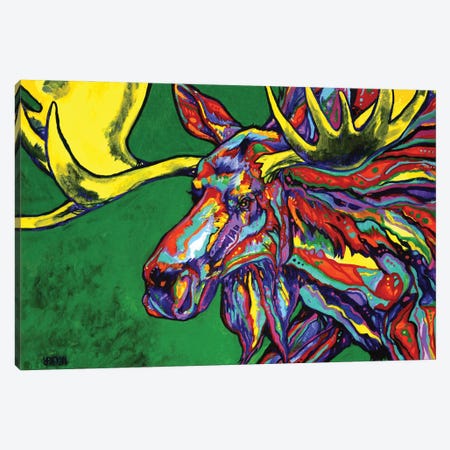 Bull Moose Canvas Print #DHG32} by Derrick Higgins Canvas Wall Art