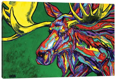 Bull Moose Canvas Art Print - Derrick Higgins 