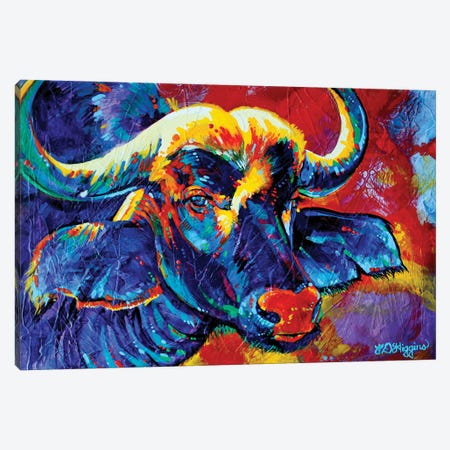Cape Buffalo Canvas Print #DHG34} by Derrick Higgins Art Print