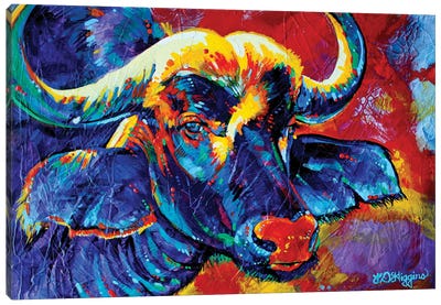 Cape Buffalo Canvas Art Print - Derrick Higgins 