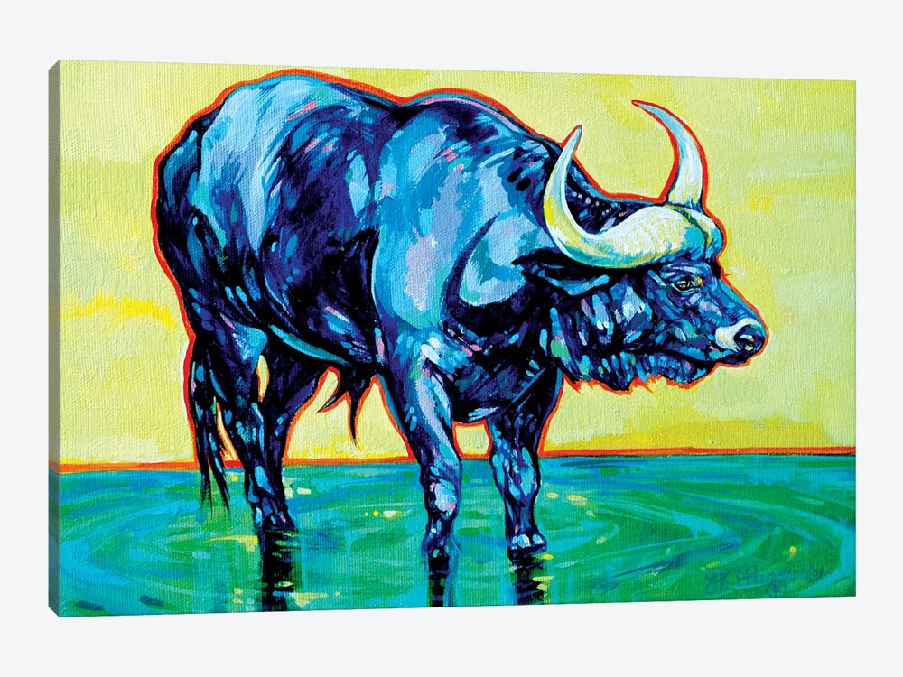 Kruger Cape Buffalo by Derrick Higgins 1-piece Art Print