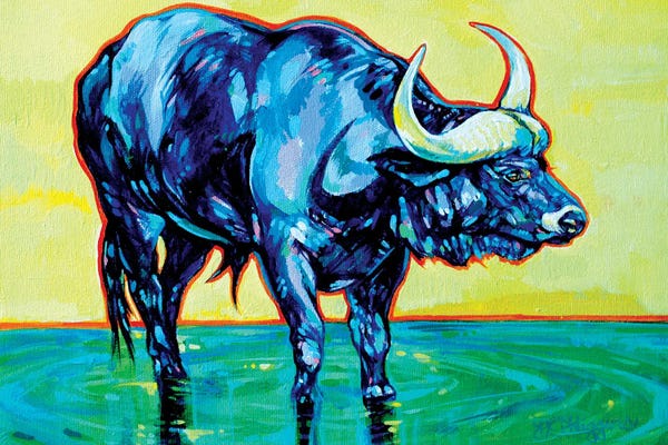 Bison & Buffaloes: Kruger Cape Buffalo by Derrick Higgins