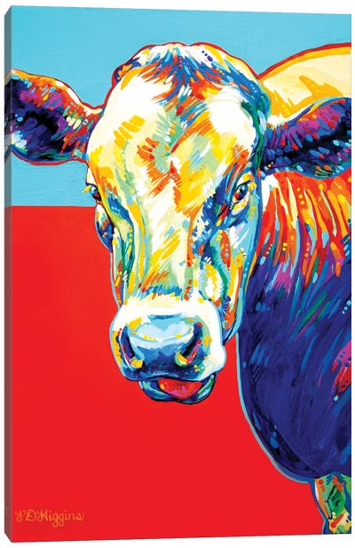 Clonmacnoise Cow Canvas Art Print - Derrick Higgins 
