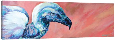 Condor Canvas Art Print - Derrick Higgins 