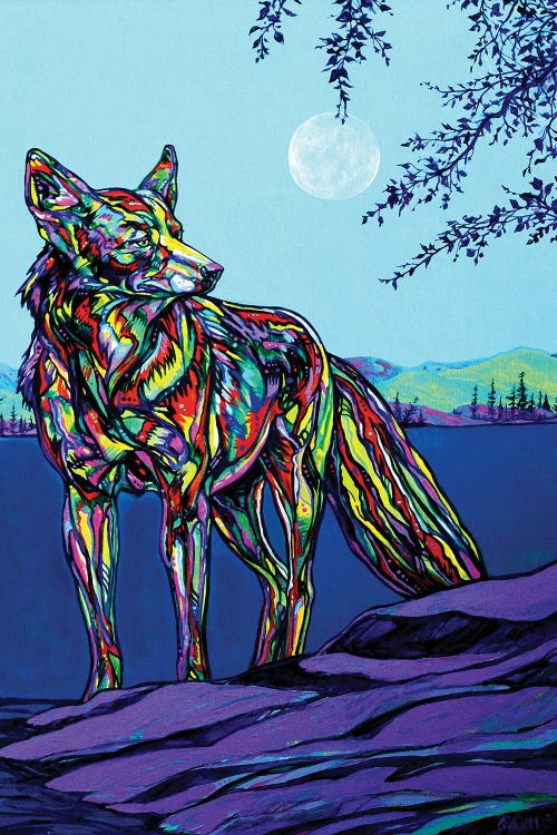 Coyote by Derrick Higgins wall art