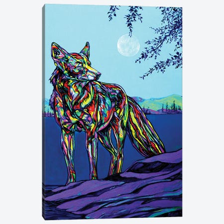Coyote Canvas Print #DHG42} by Derrick Higgins Art Print