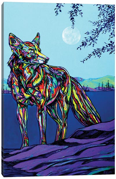 Coyote Canvas Art Print - Derrick Higgins 