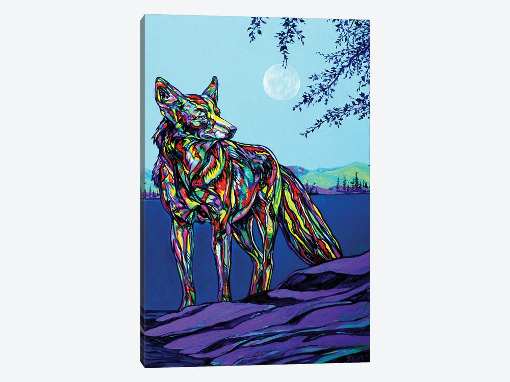 Coyote by Derrick Higgins 1-piece Art Print
