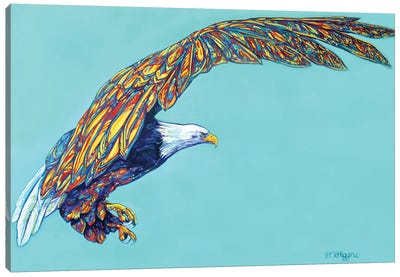 Eagle Flight Canvas Art Print - Derrick Higgins 