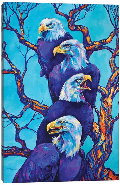 Eagle Tree Canvas Art Print - Derrick Higgins 