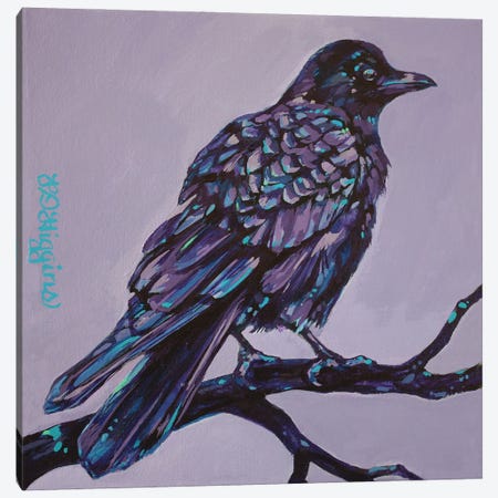 Mauve Crow Canvas Print #DHG4} by Derrick Higgins Canvas Art