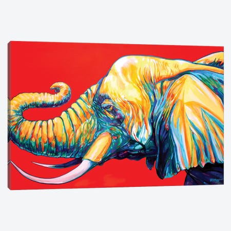 Elephant Canvas Print #DHG50} by Derrick Higgins Canvas Wall Art