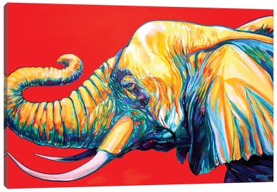 Elephant Canvas Art Print - Derrick Higgins 