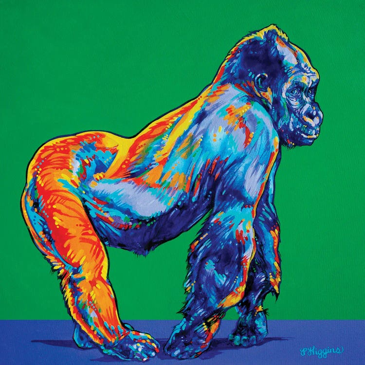 Gorilla by Derrick Higgins wall art